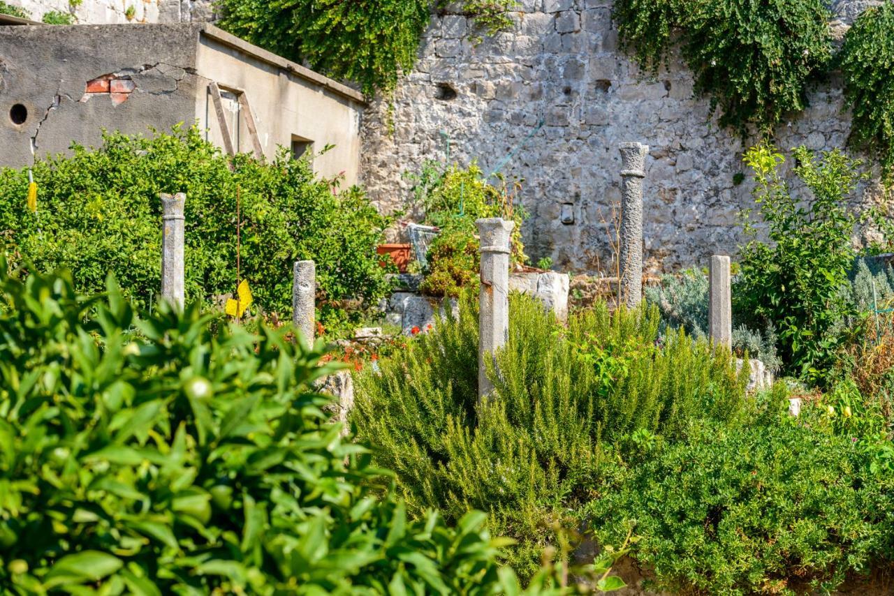 Eta Appartement Cavtat